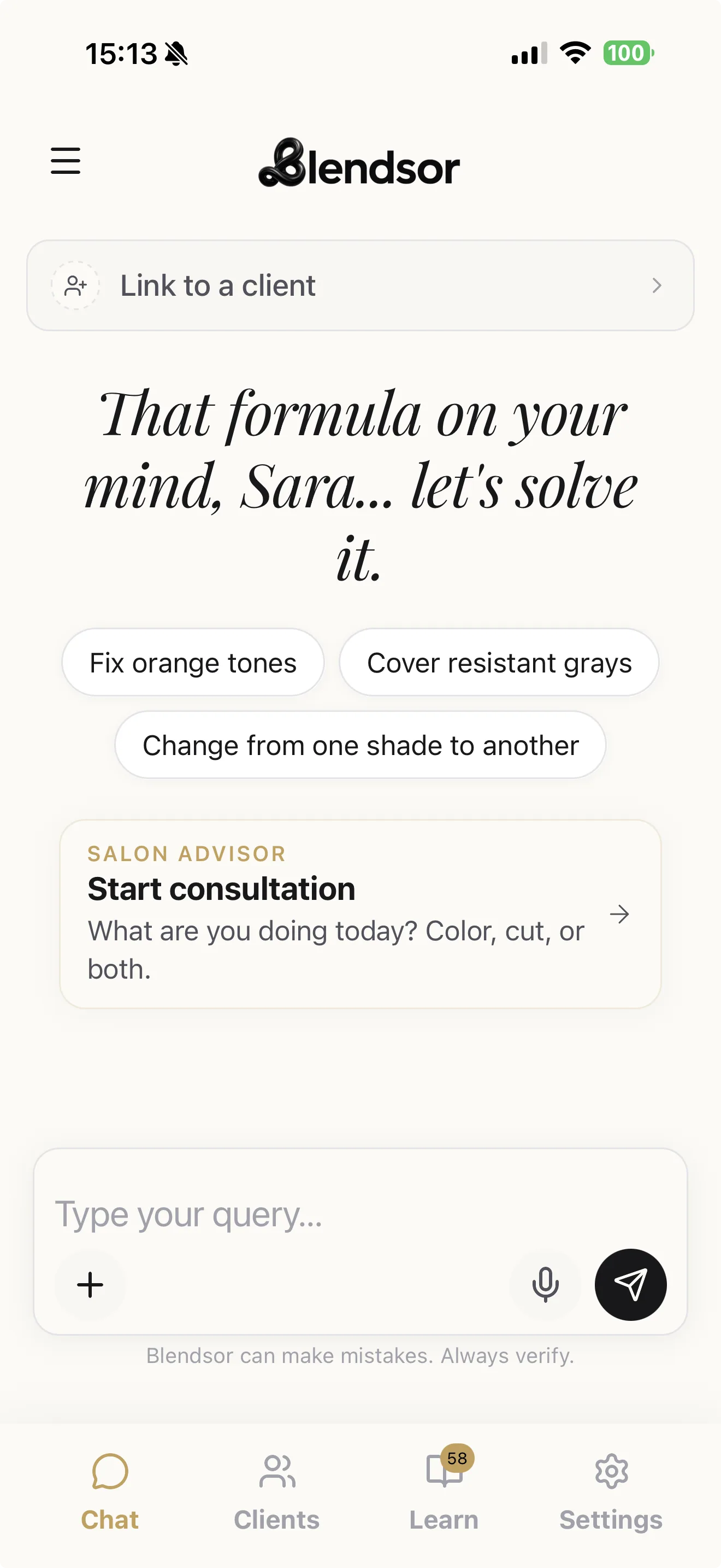 Blendsor: AI chat to solve every client's colour case